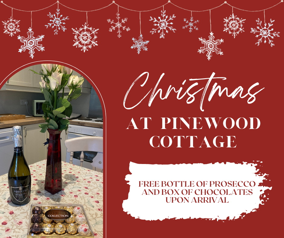 christmas-at-pinewood-cottage-pinewood-new-forest